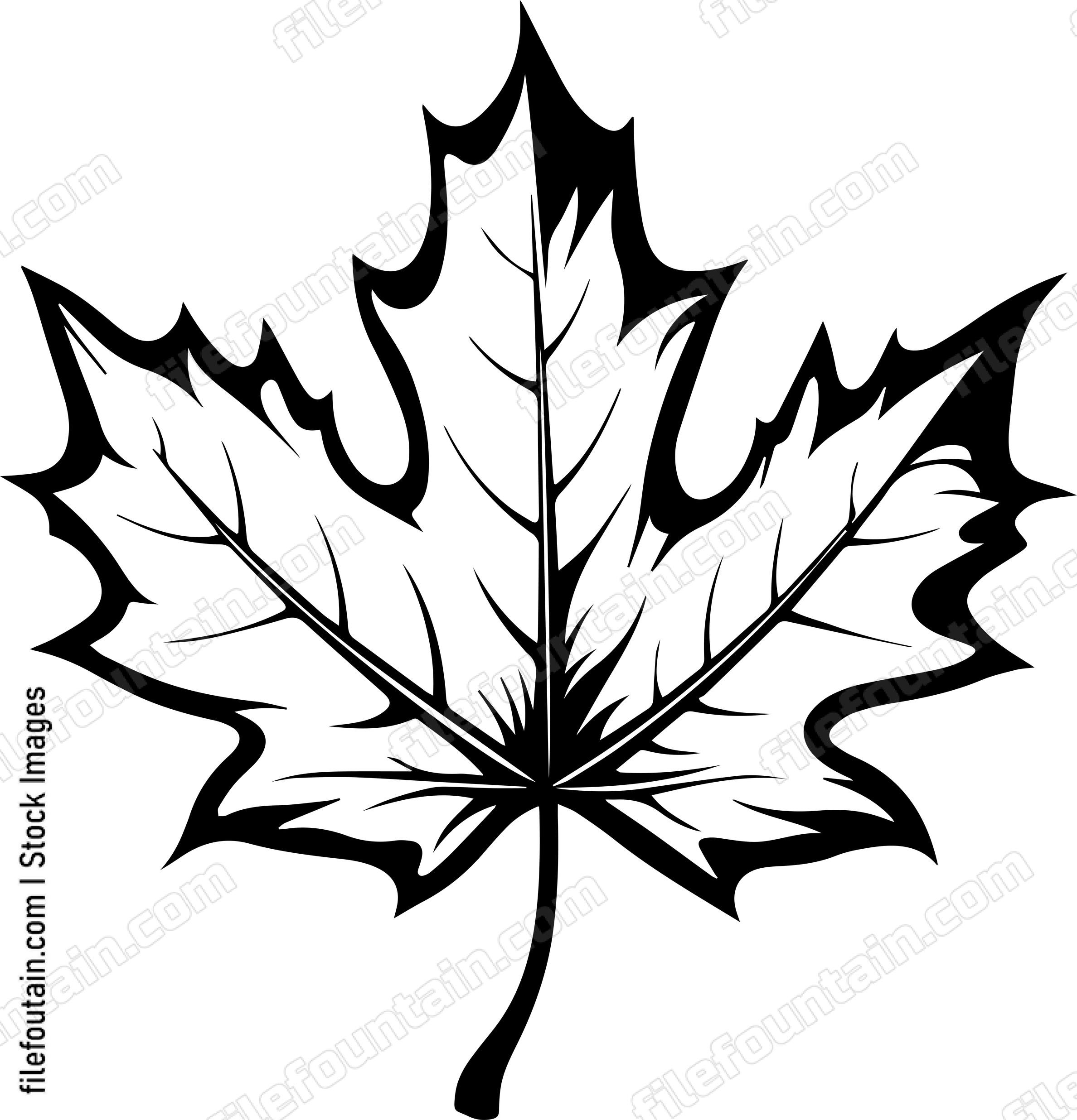 Maple Leaf