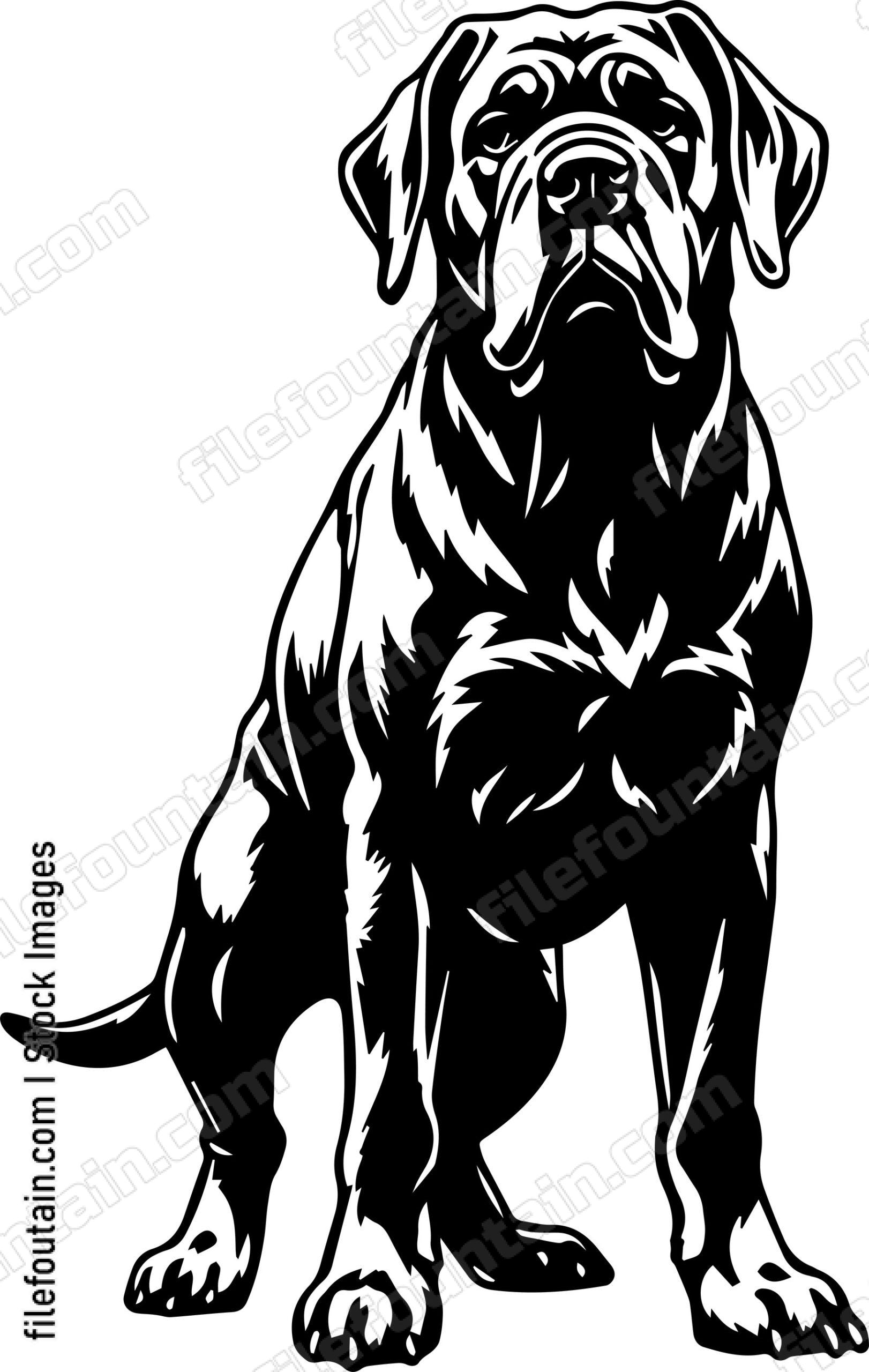 Mastiff