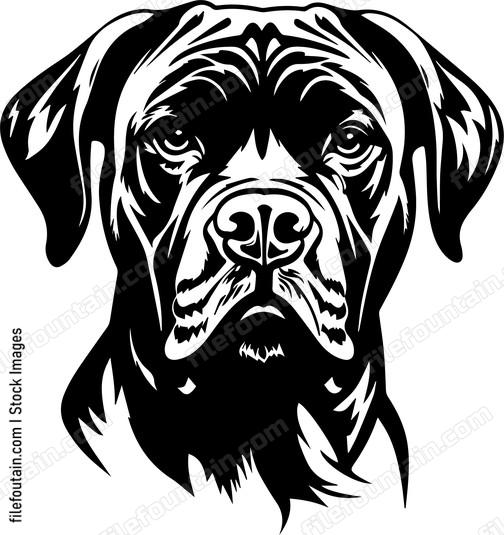 Mastiff