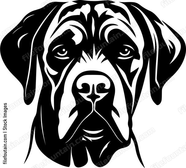 Mastiff
