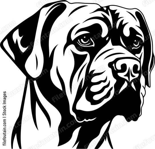 Mastiff