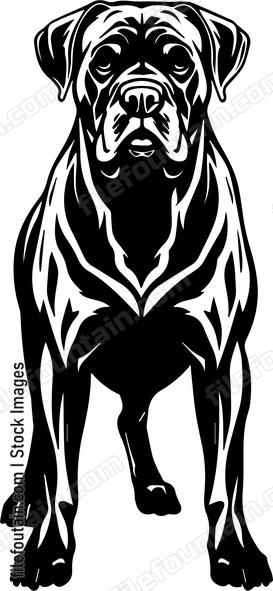 Mastiff