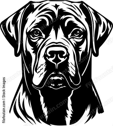 Mastiff