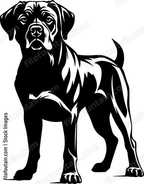 Mastiff