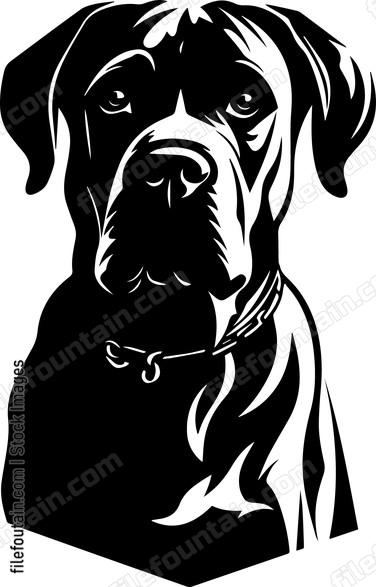 Mastiff