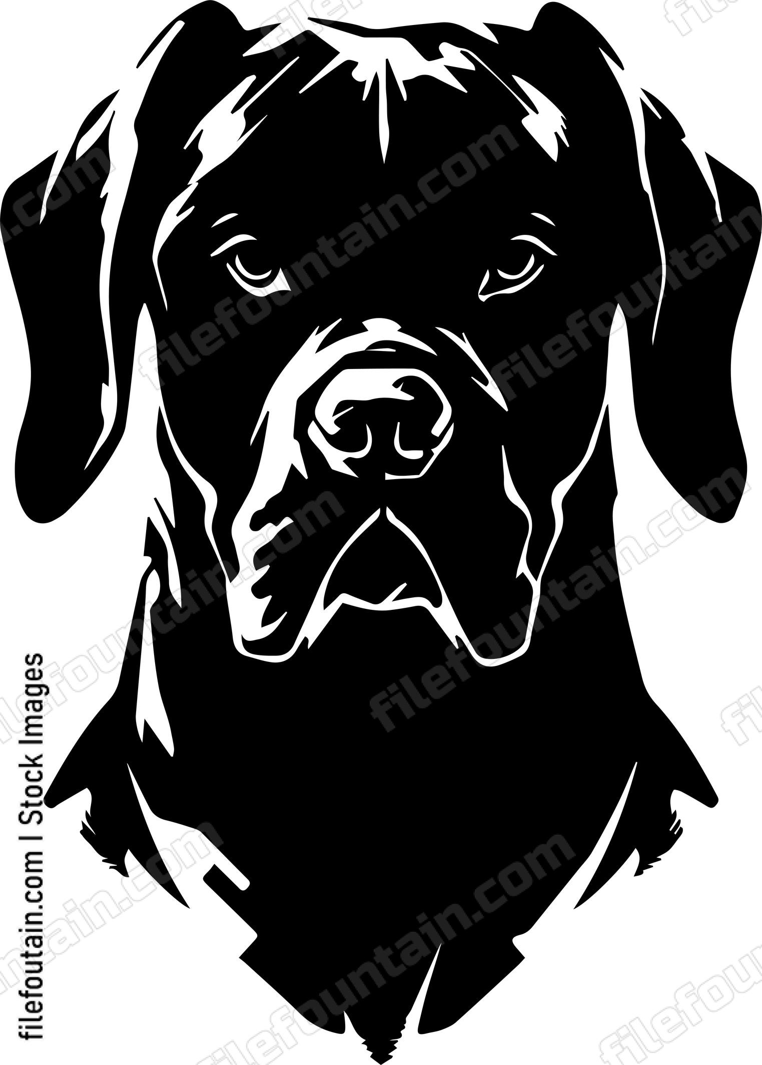 Mastiff
