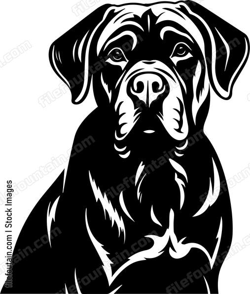 Mastiff