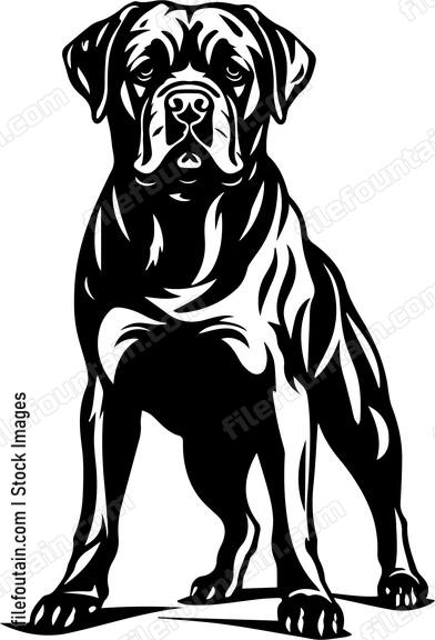 Mastiff