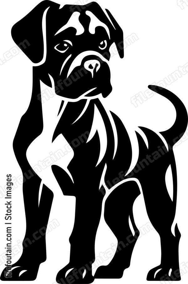 Mastiff Puppy