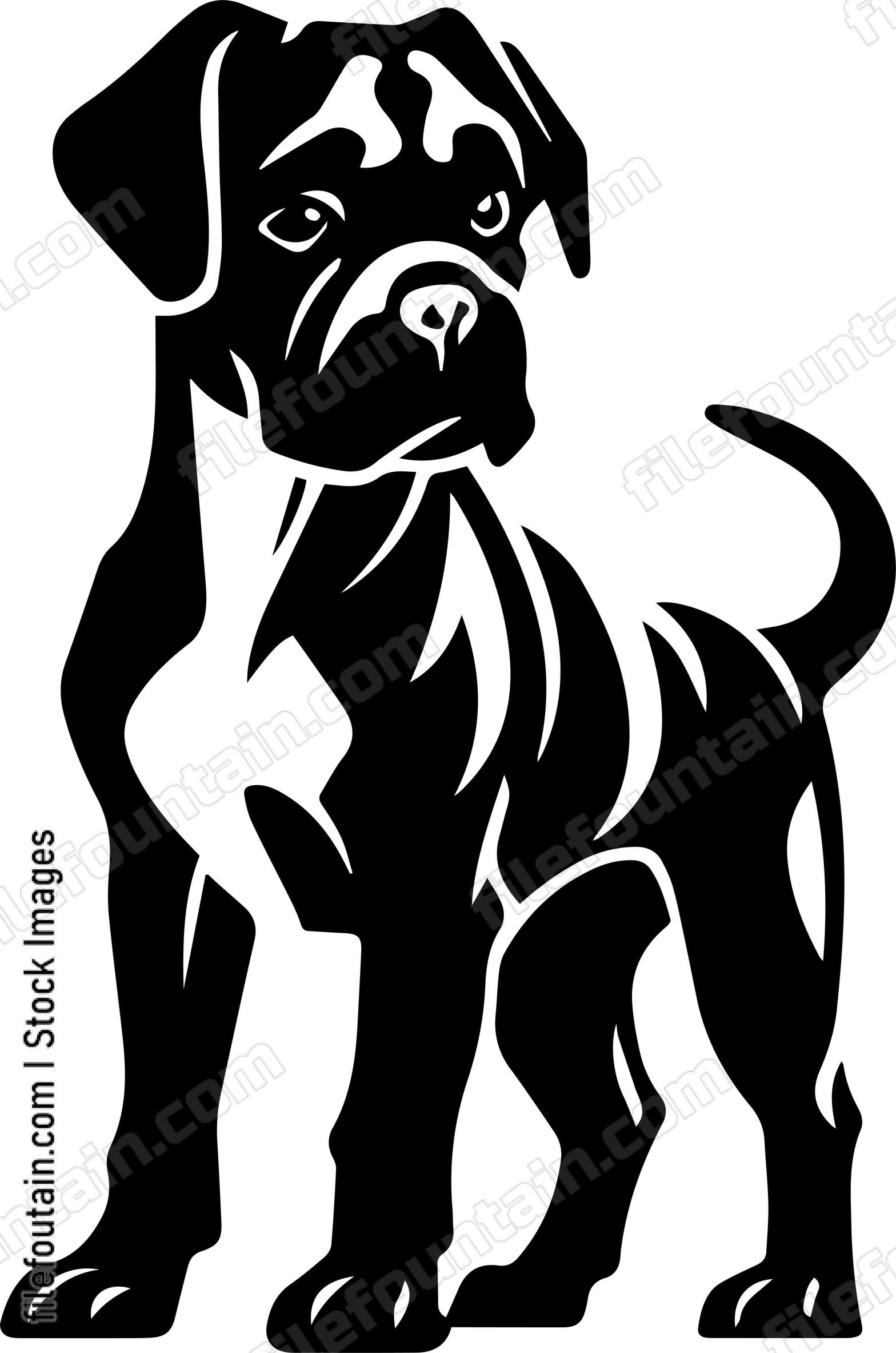Mastiff Puppy
