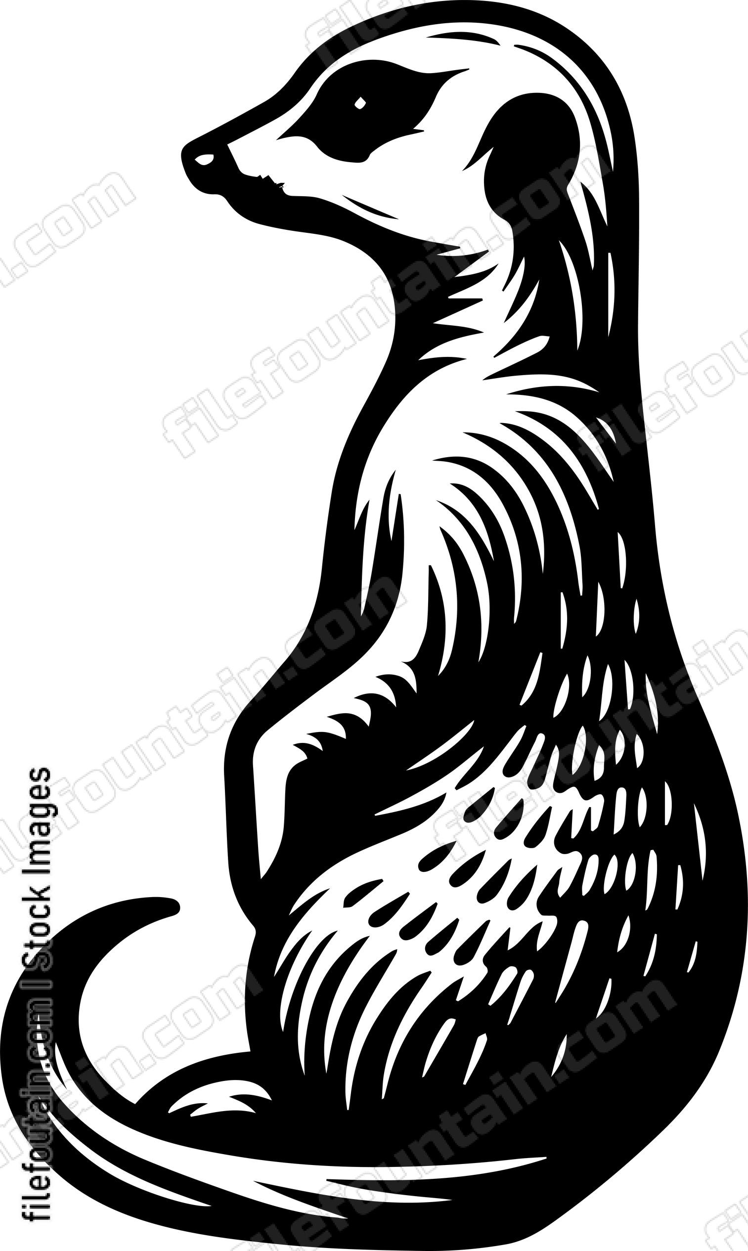 Meerkat