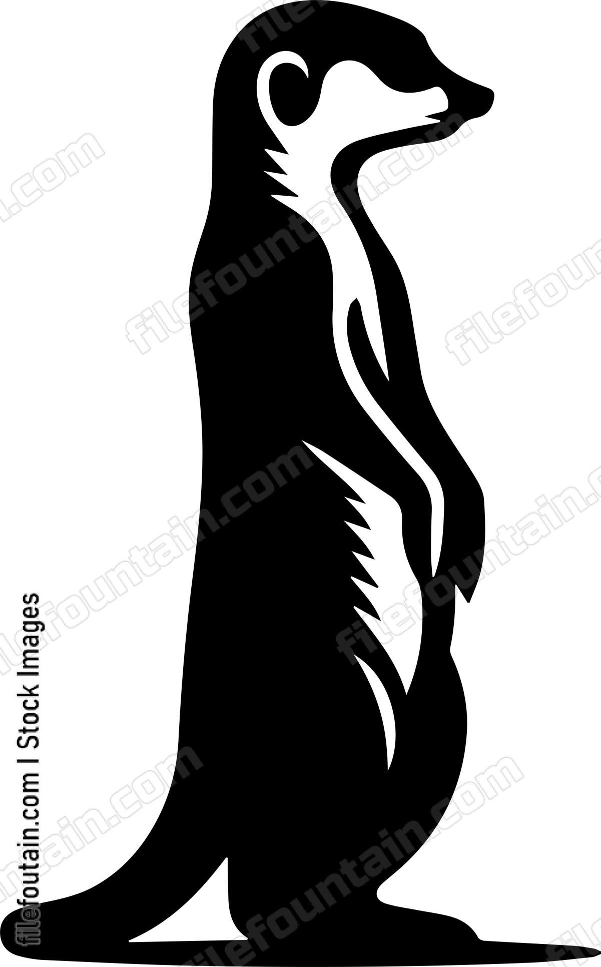 Meerkat