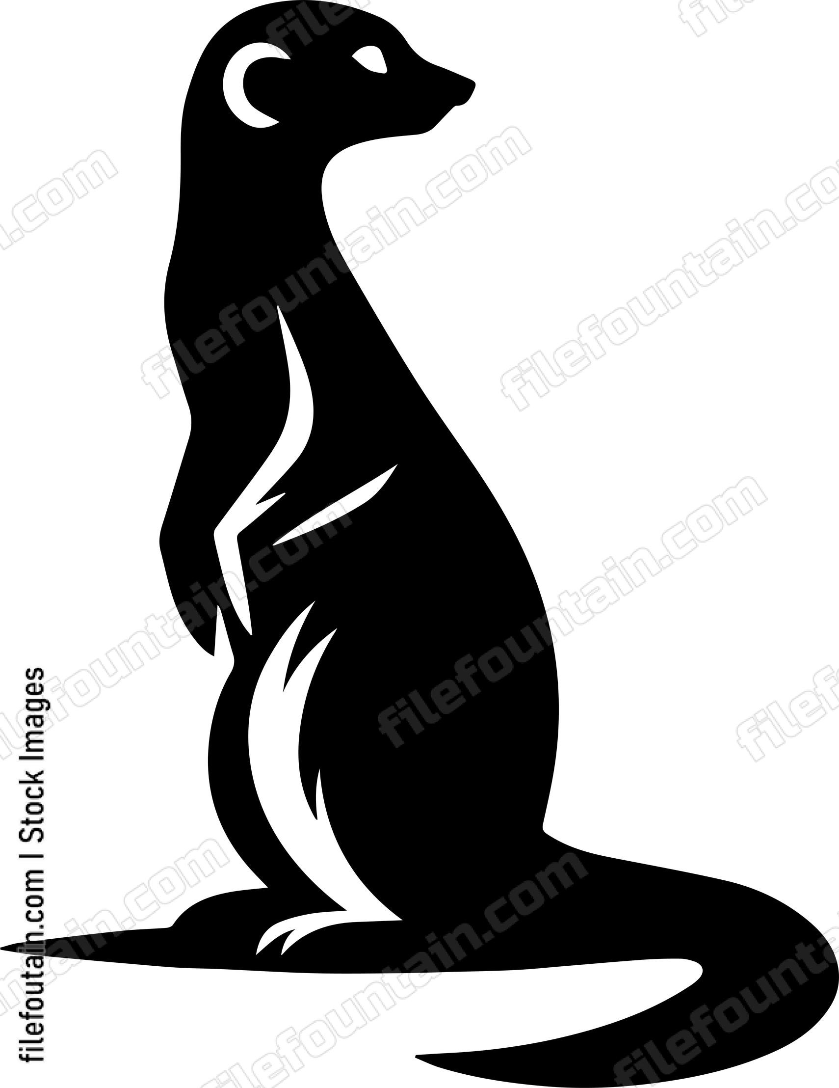 Meerkat
