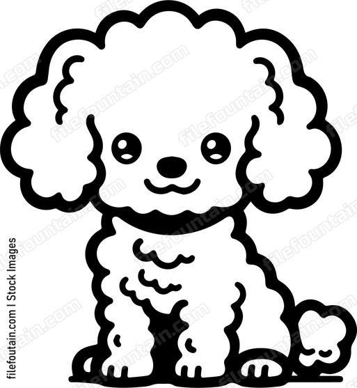 Miniature Poodle