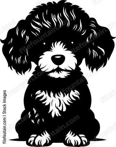 Miniature Poodle