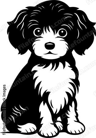 Miniature Poodle