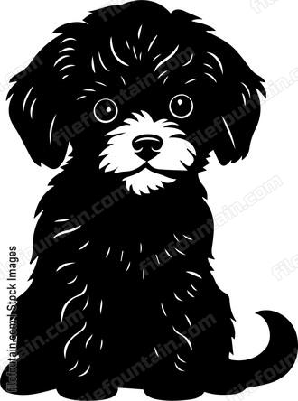 Miniature Poodle