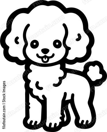 Miniature Poodle