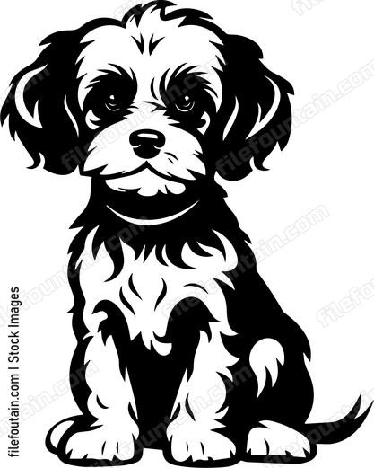 Miniature Poodle
