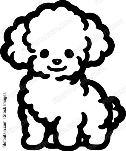 Miniature Poodle