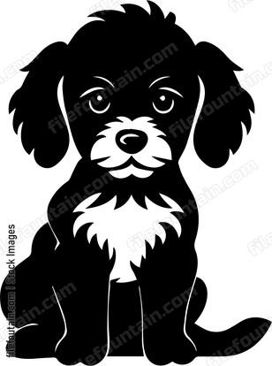 Miniature Poodle