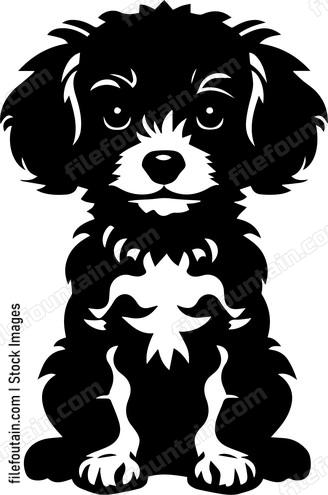 Miniature Poodle