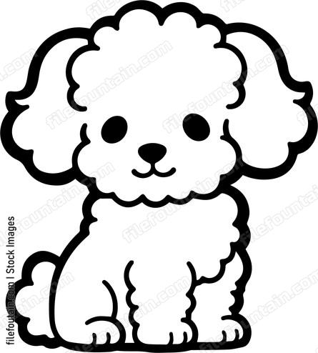 Miniature Poodle