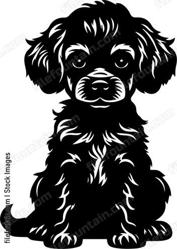 Miniature Poodle
