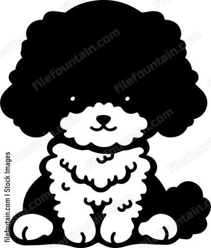 Miniature Poodle
