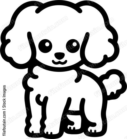 Miniature Poodle