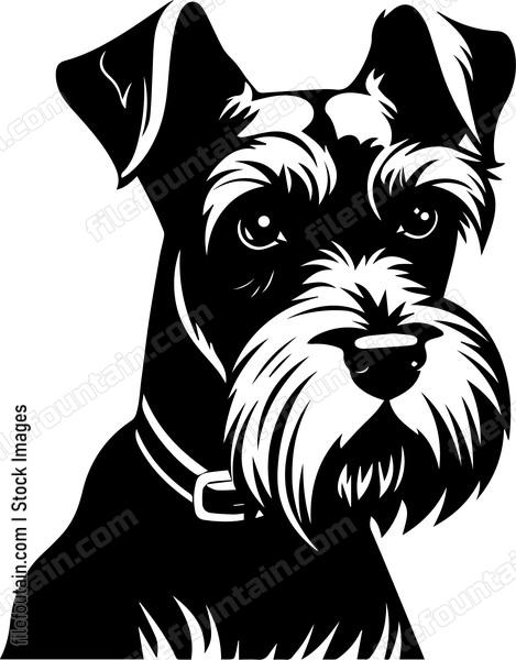 Miniature Schnauzer