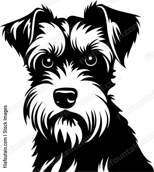 Miniature Schnauzer