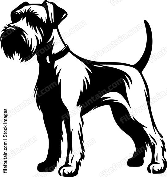 Miniature Schnauzer
