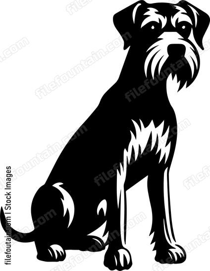 Miniature Schnauzer