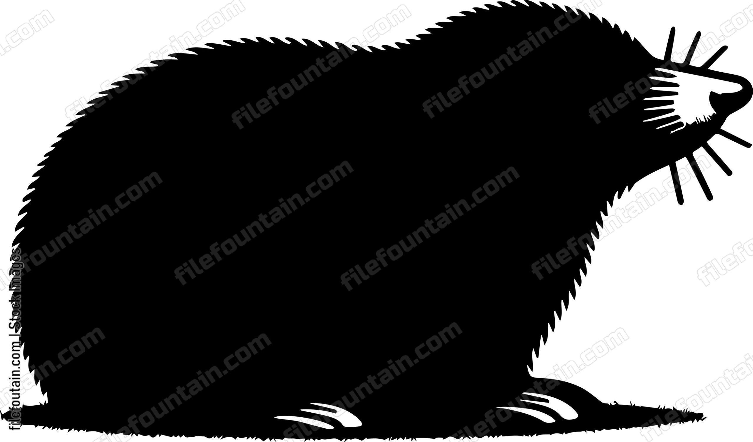 Mole