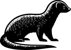 Mongoose