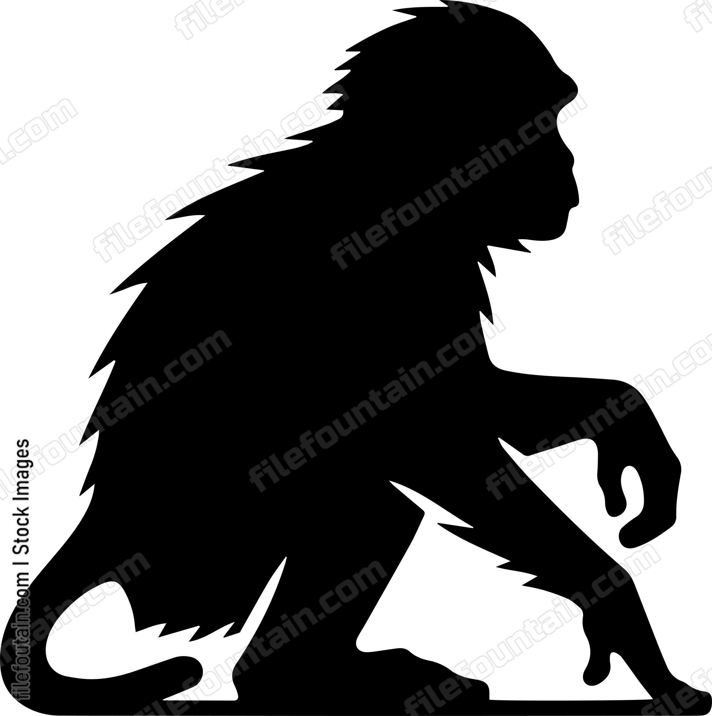 Monkey