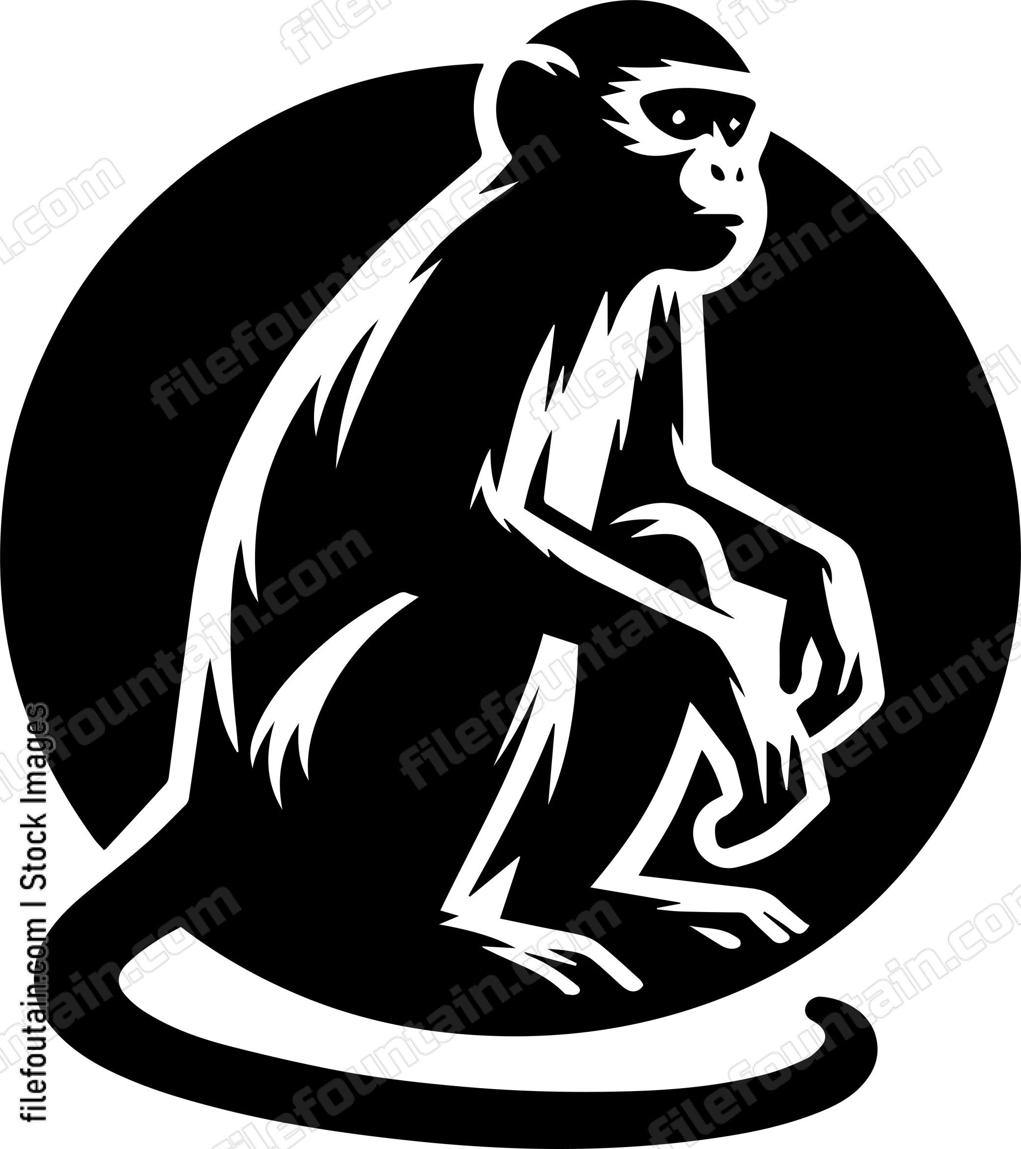 Monkey
