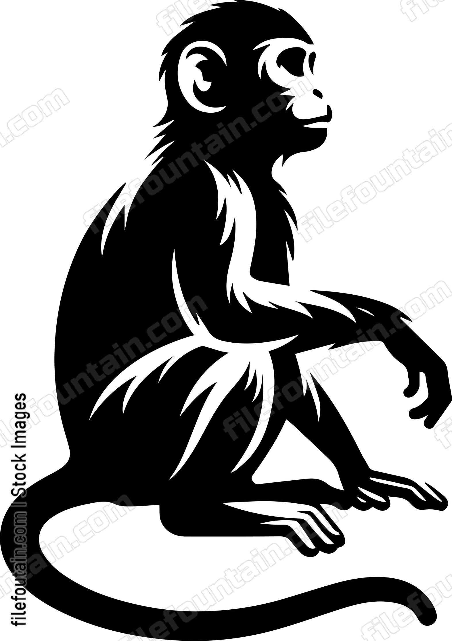 Monkey