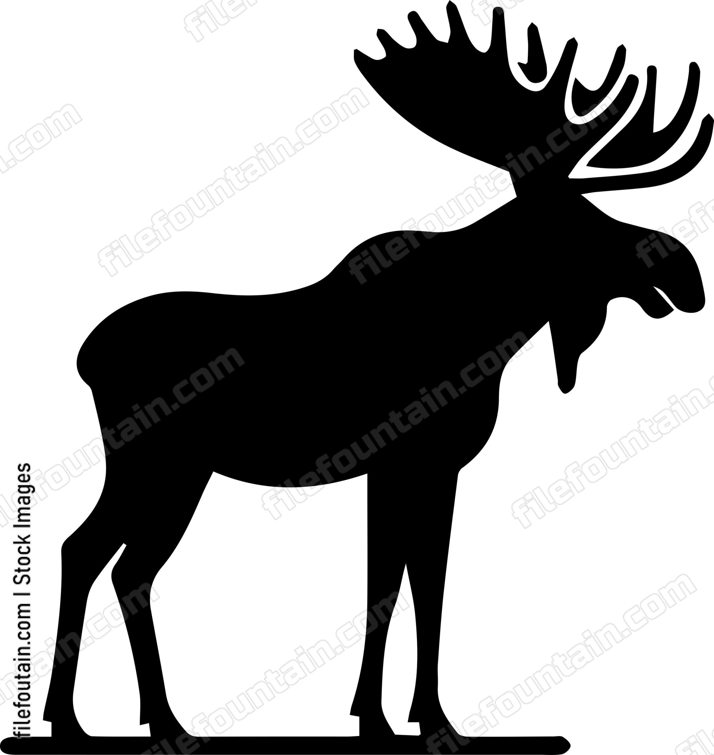 Moose