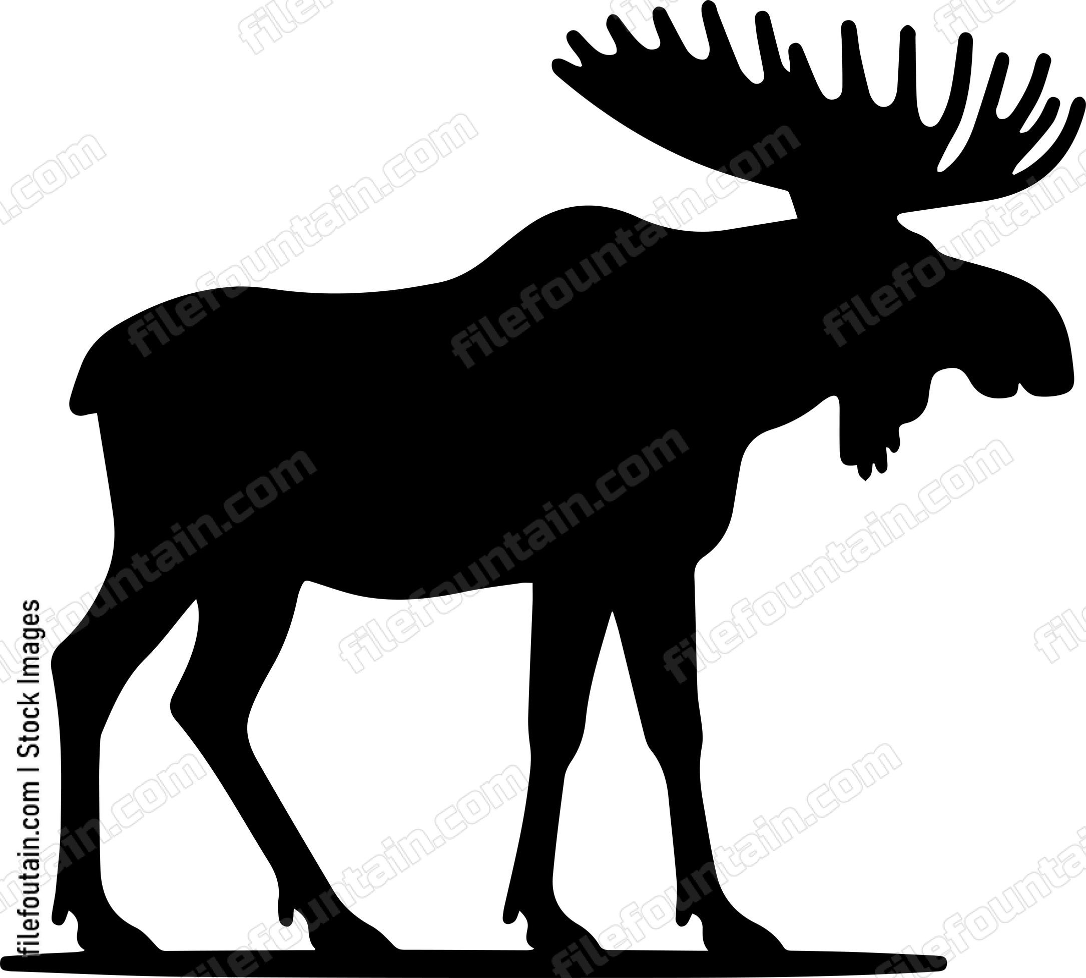 Moose