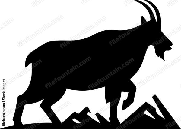 Mountain Goat