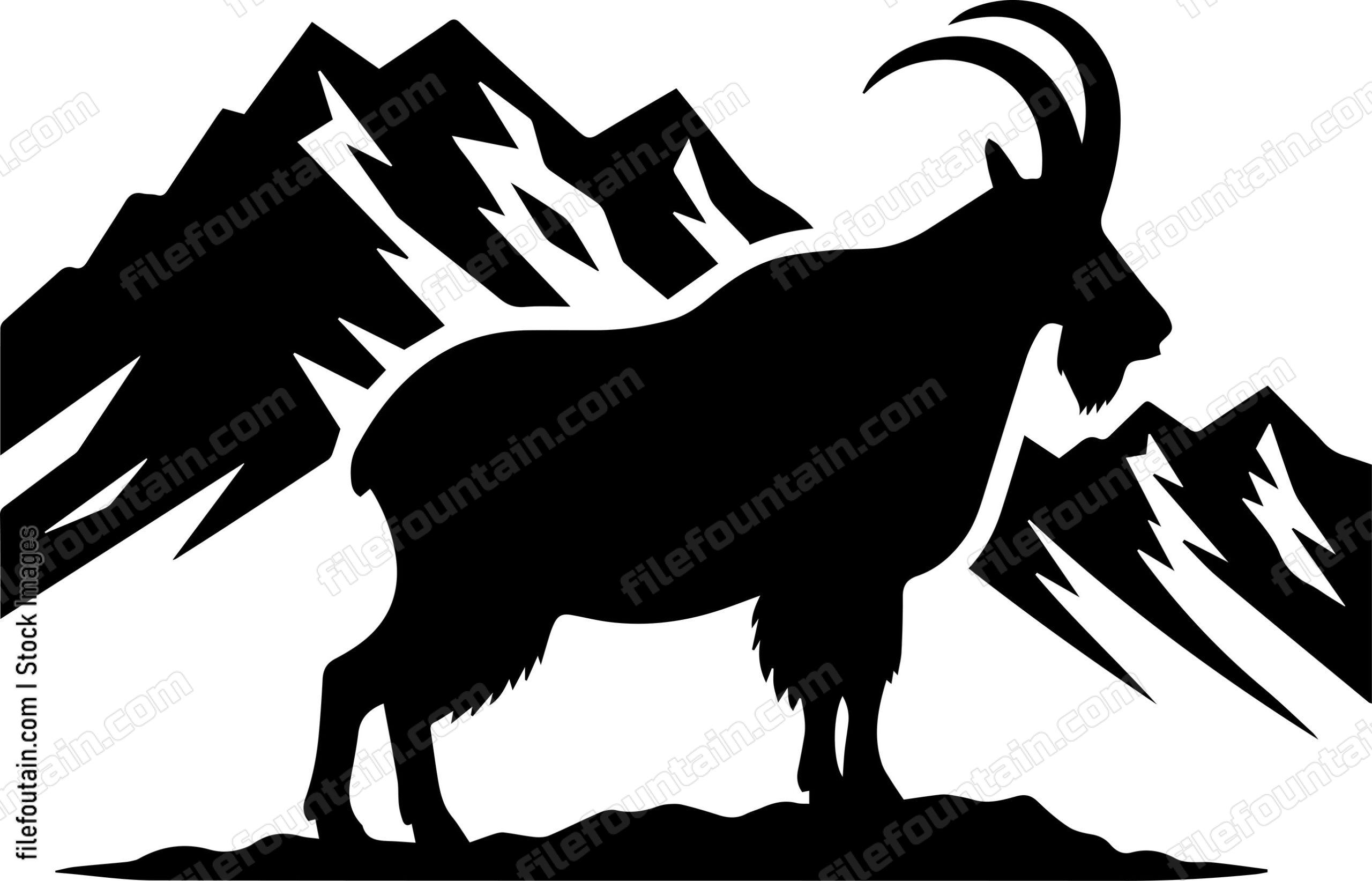 Mountain Goat