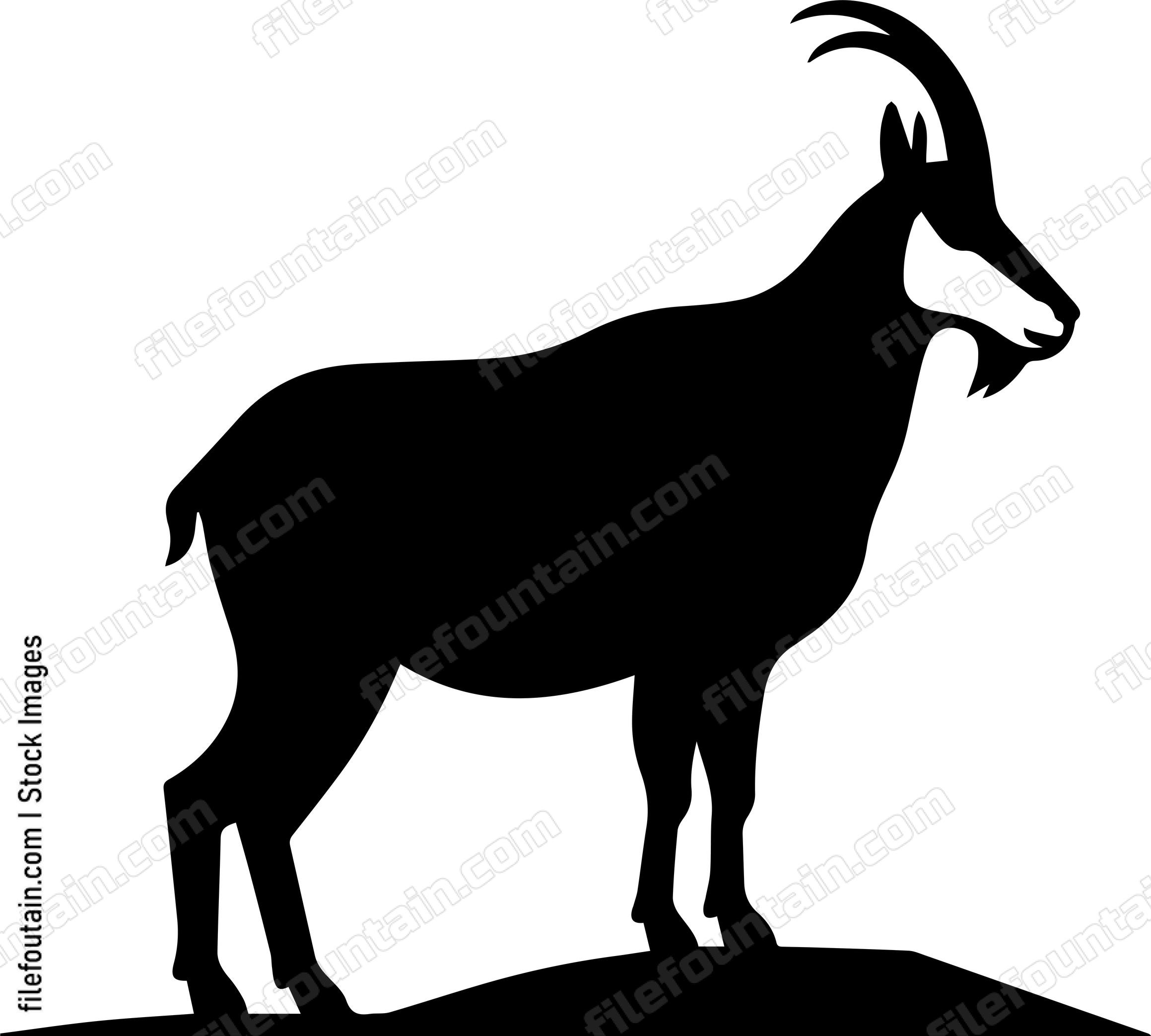 Mountain Goat