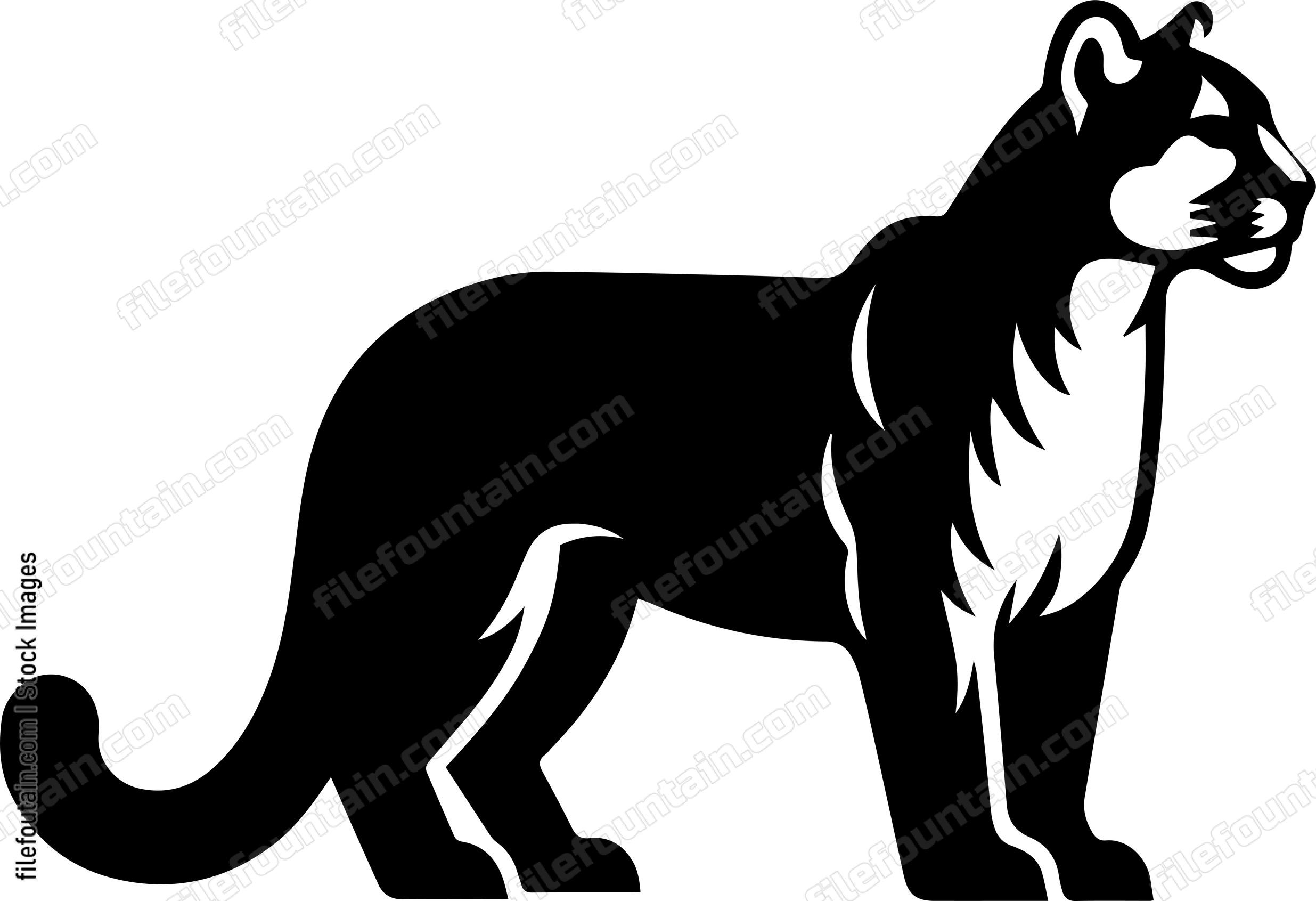 Mountain Lion