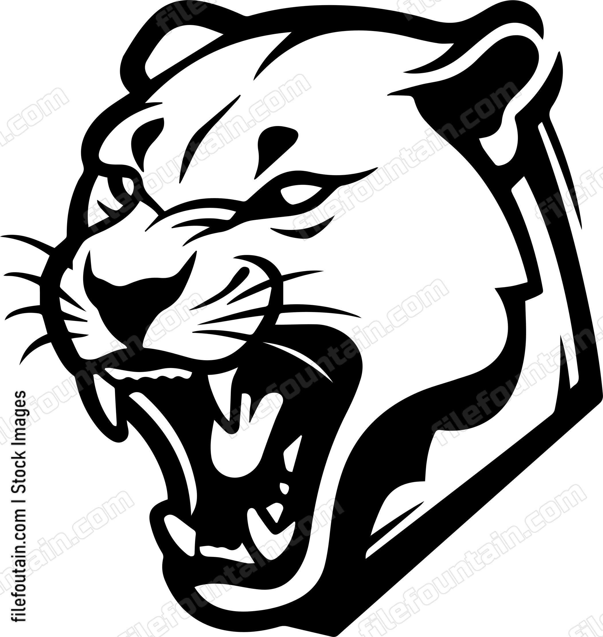 Mountain Lion