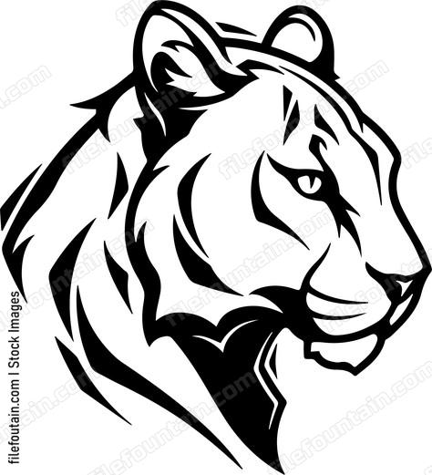 Mountain Lion