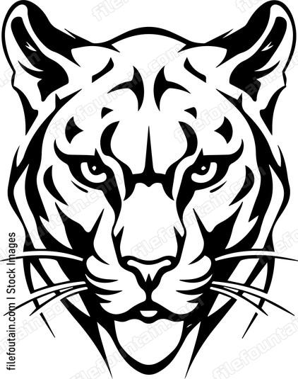 Mountain Lion