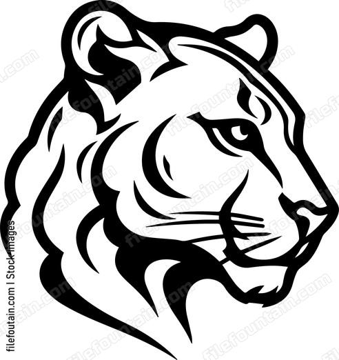 Mountain Lion