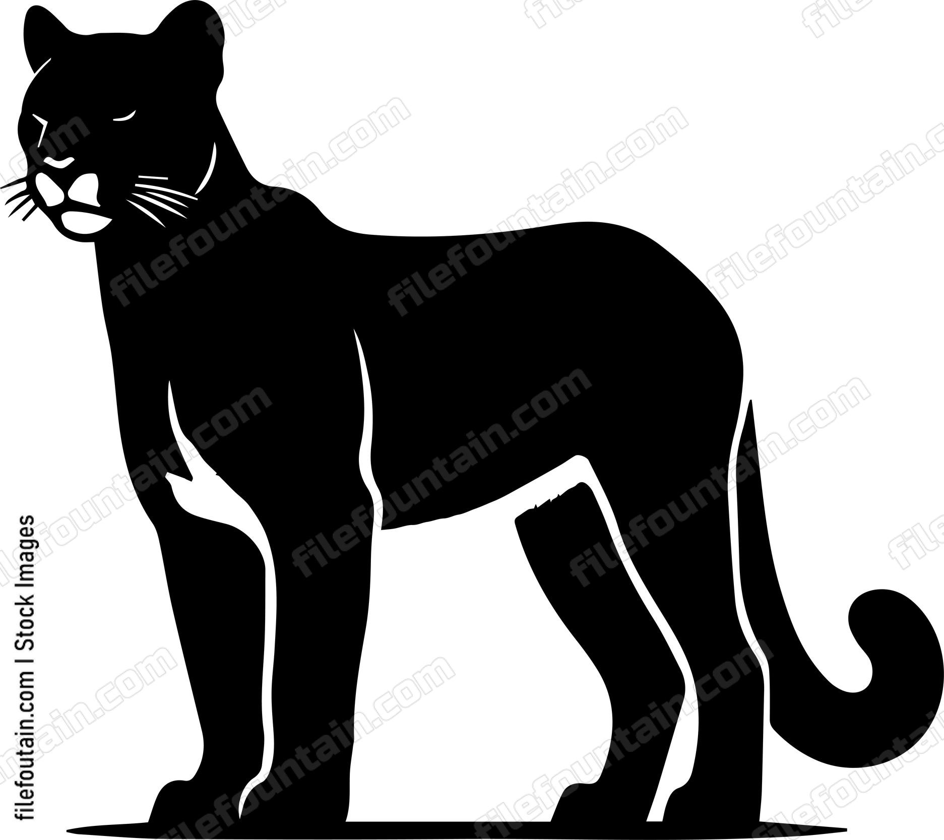 Mountain Lion